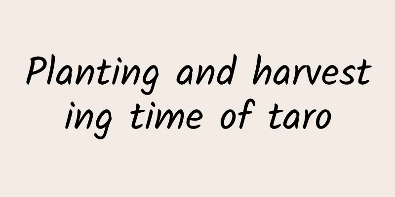 Planting and harvesting time of taro