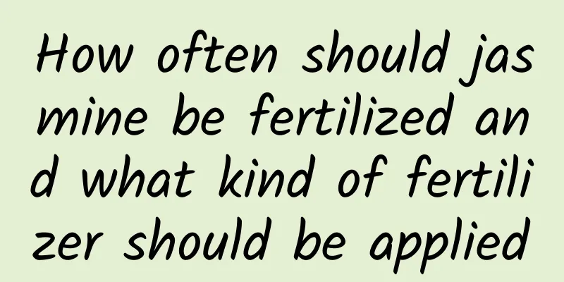 How often should jasmine be fertilized and what kind of fertilizer should be applied
