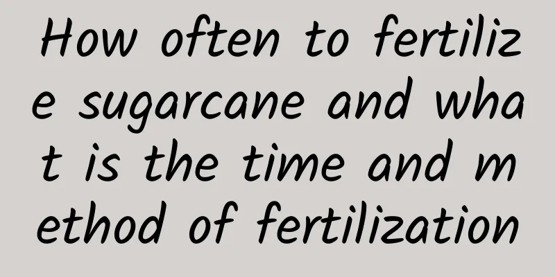 How often to fertilize sugarcane and what is the time and method of fertilization
