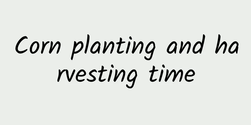 Corn planting and harvesting time