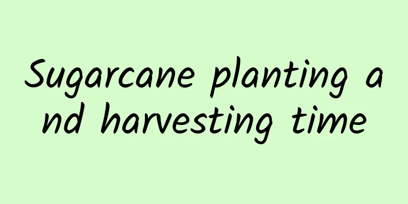 Sugarcane planting and harvesting time