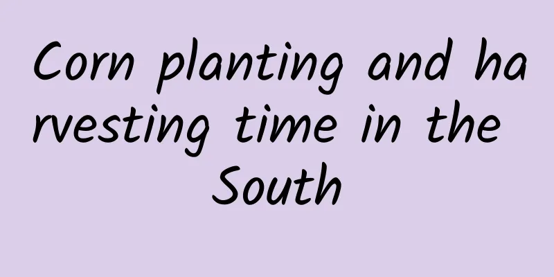 Corn planting and harvesting time in the South