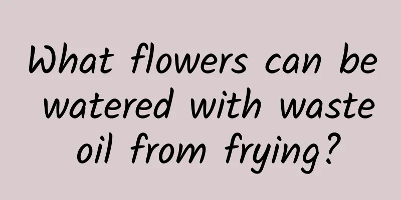 What flowers can be watered with waste oil from frying?