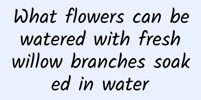 What flowers can be watered with fresh willow branches soaked in water