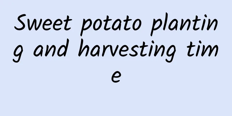Sweet potato planting and harvesting time