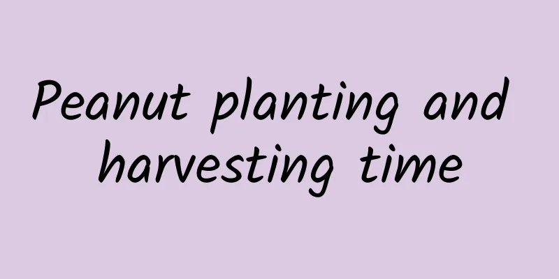 Peanut planting and harvesting time