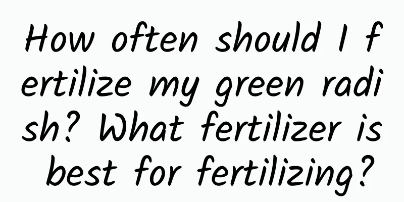 How often should I fertilize my green radish? What fertilizer is best for fertilizing?