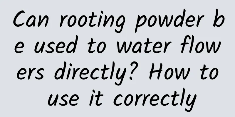 Can rooting powder be used to water flowers directly? How to use it correctly