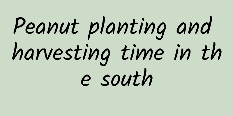 Peanut planting and harvesting time in the south