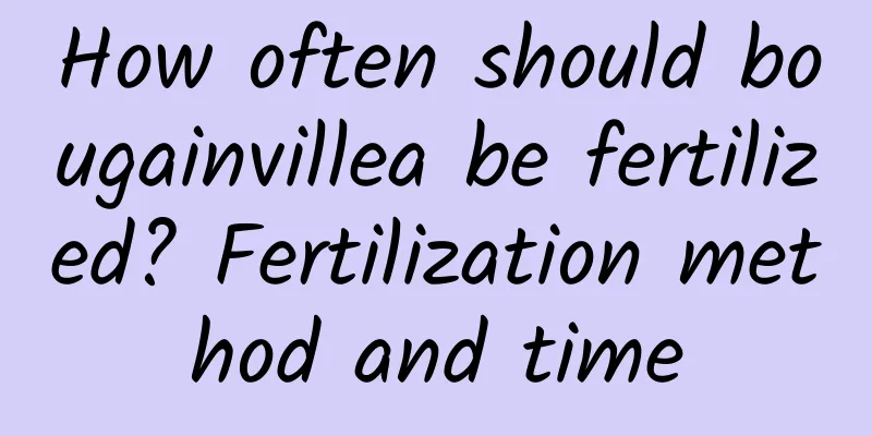 How often should bougainvillea be fertilized? Fertilization method and time