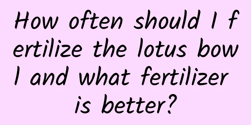 How often should I fertilize the lotus bowl and what fertilizer is better?