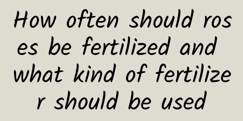 How often should roses be fertilized and what kind of fertilizer should be used