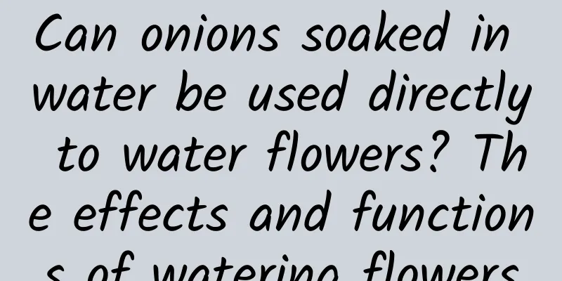Can onions soaked in water be used directly to water flowers? The effects and functions of watering flowers