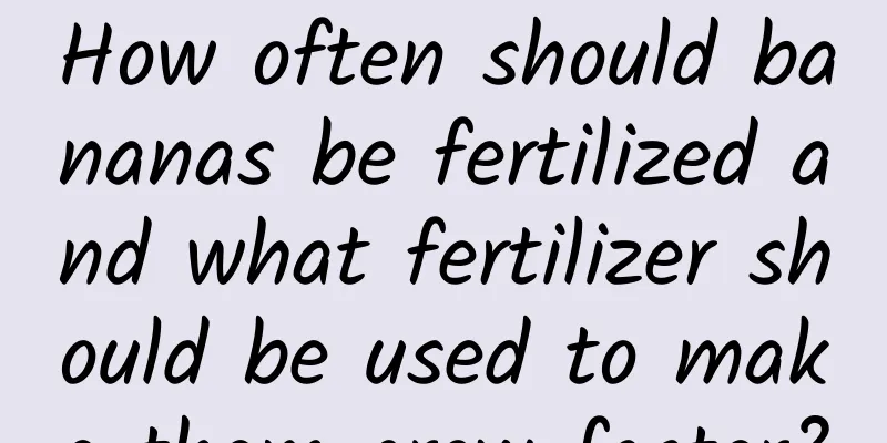 How often should bananas be fertilized and what fertilizer should be used to make them grow faster?