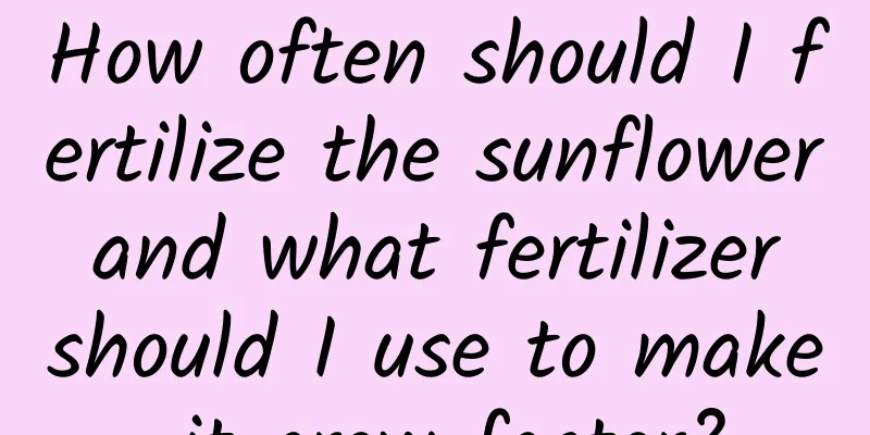 How often should I fertilize the sunflower and what fertilizer should I use to make it grow faster?