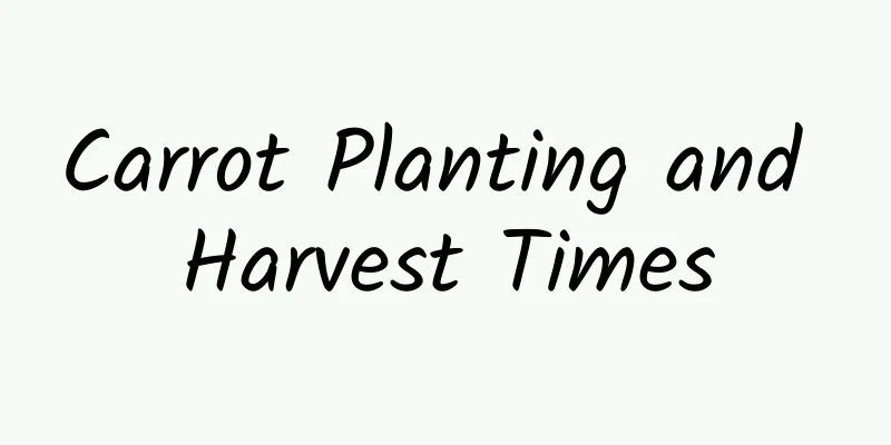 Carrot Planting and Harvest Times
