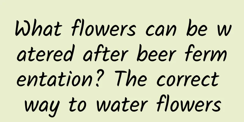 What flowers can be watered after beer fermentation? The correct way to water flowers
