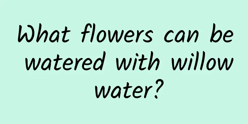 What flowers can be watered with willow water?