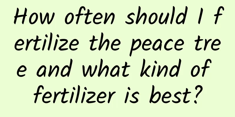 How often should I fertilize the peace tree and what kind of fertilizer is best?