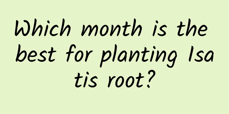 Which month is the best for planting Isatis root?