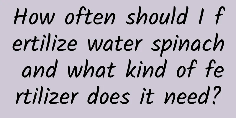 How often should I fertilize water spinach and what kind of fertilizer does it need?