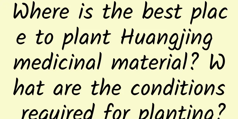 Where is the best place to plant Huangjing medicinal material? What are the conditions required for planting?