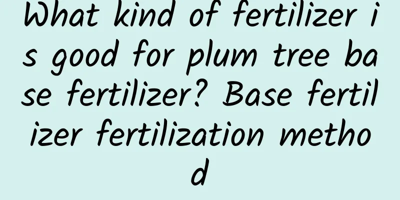 What kind of fertilizer is good for plum tree base fertilizer? Base fertilizer fertilization method