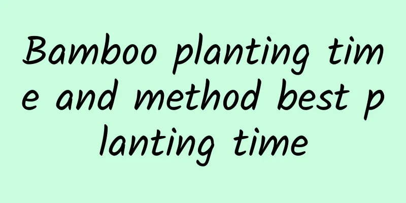 Bamboo planting time and method best planting time