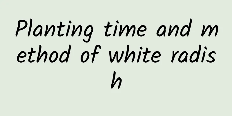 Planting time and method of white radish
