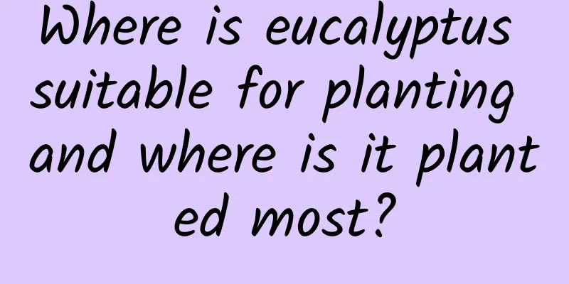 Where is eucalyptus suitable for planting and where is it planted most?