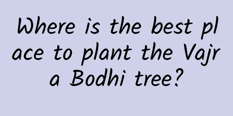 Where is the best place to plant the Vajra Bodhi tree?