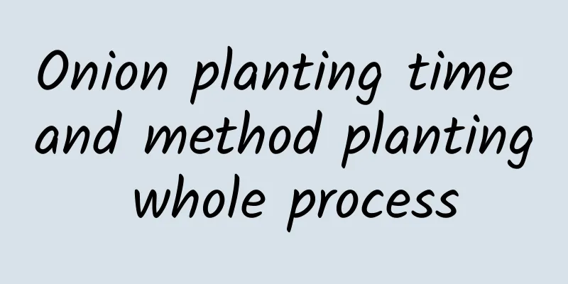 Onion planting time and method planting whole process