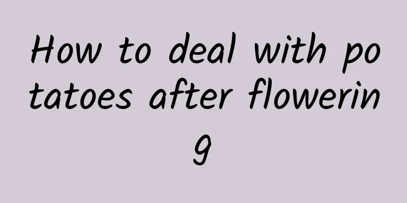 How to deal with potatoes after flowering