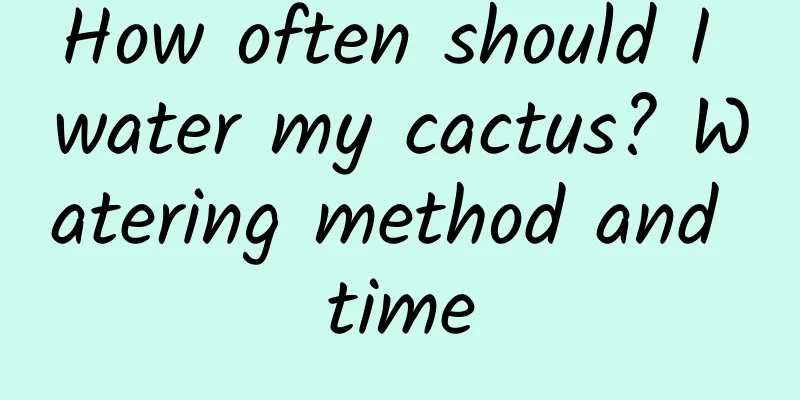 How often should I water my cactus? Watering method and time