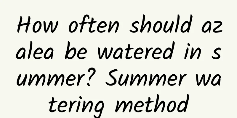 How often should azalea be watered in summer? Summer watering method