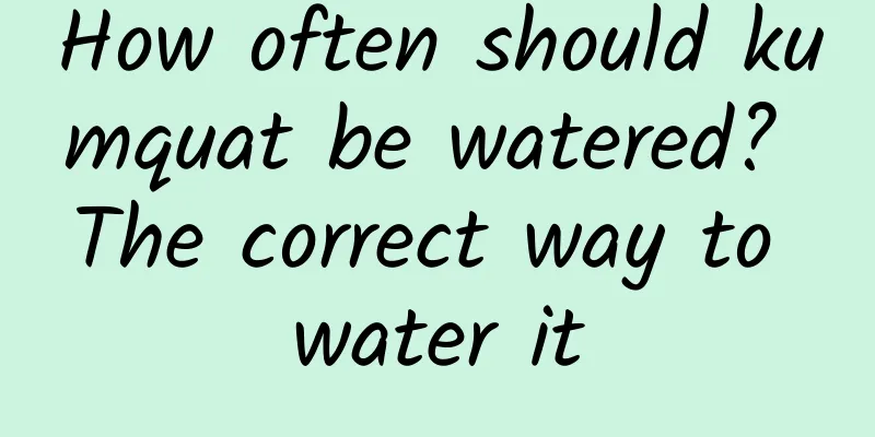 How often should kumquat be watered? The correct way to water it