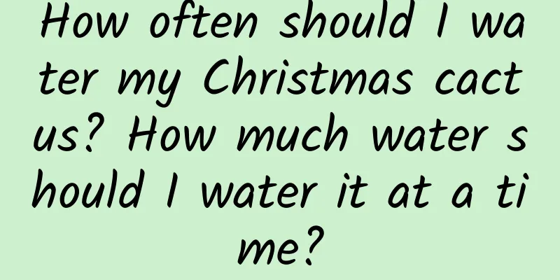 How often should I water my Christmas cactus? How much water should I water it at a time?