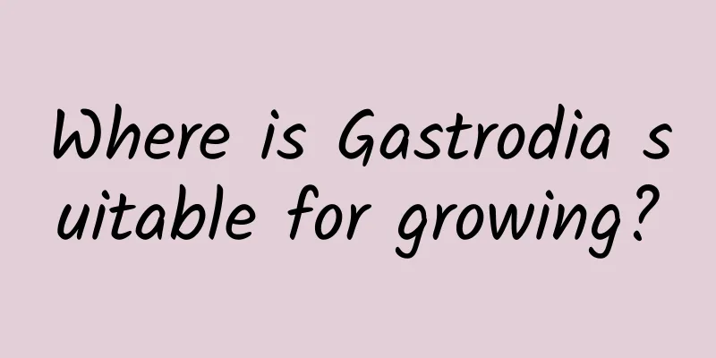 Where is Gastrodia suitable for growing?