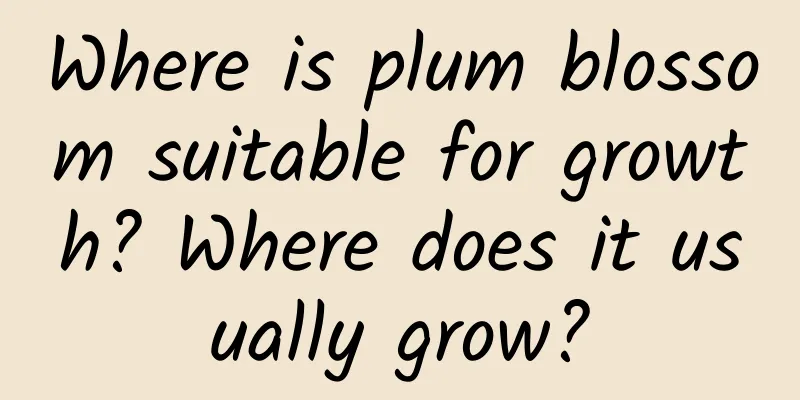 Where is plum blossom suitable for growth? Where does it usually grow?
