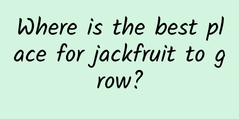 Where is the best place for jackfruit to grow?