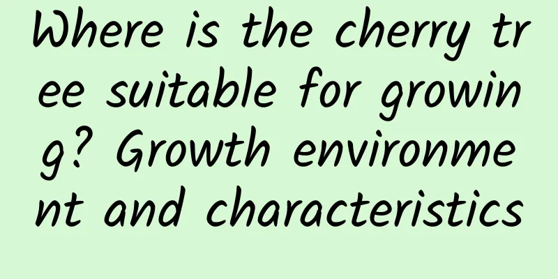 Where is the cherry tree suitable for growing? Growth environment and characteristics
