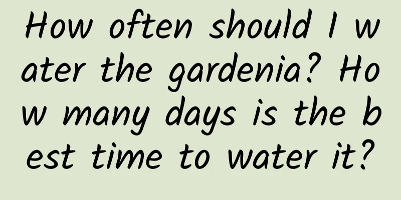 How often should I water the gardenia? How many days is the best time to water it?