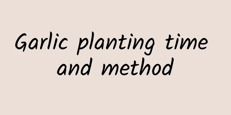 Garlic planting time and method