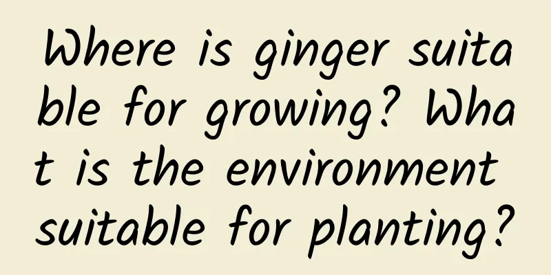 Where is ginger suitable for growing? What is the environment suitable for planting?