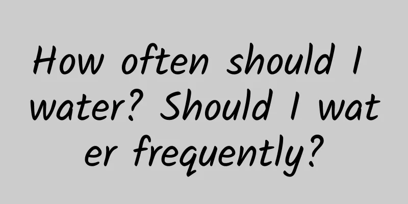 How often should I water? Should I water frequently?