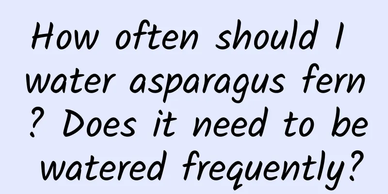 How often should I water asparagus fern? Does it need to be watered frequently?