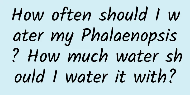 How often should I water my Phalaenopsis? How much water should I water it with?
