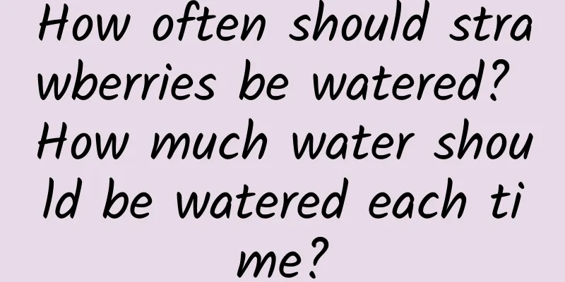 How often should strawberries be watered? How much water should be watered each time?