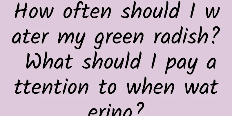 How often should I water my green radish? What should I pay attention to when watering?