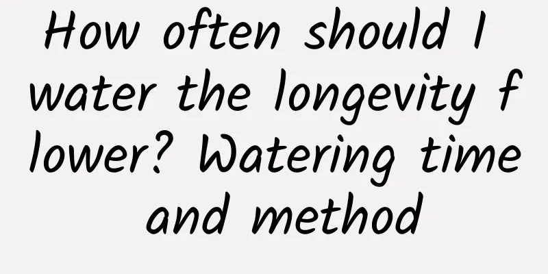 How often should I water the longevity flower? Watering time and method